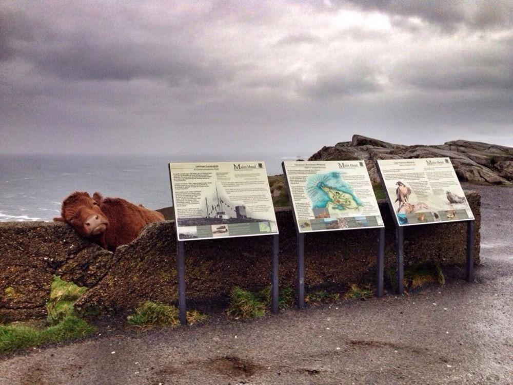 The Strand Hotel Ballyliffin Dış mekan fotoğraf